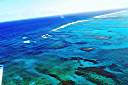 Anegada Aerial Photo
Reef.