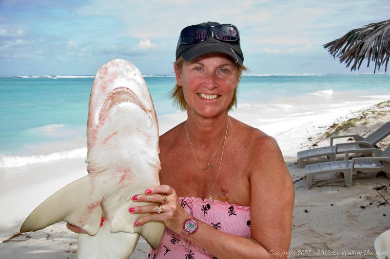 Nancy's laughing lemon shark. She is tickling it's belly.