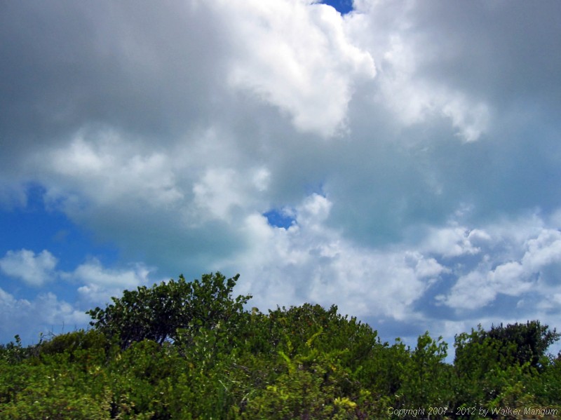 Anegada green clouds.