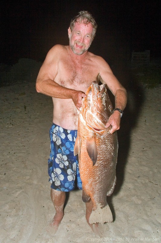 Holy snapper! Walker caught this fifty pound dogtooth snapper while sitting in Hidden Treasure's front yard!