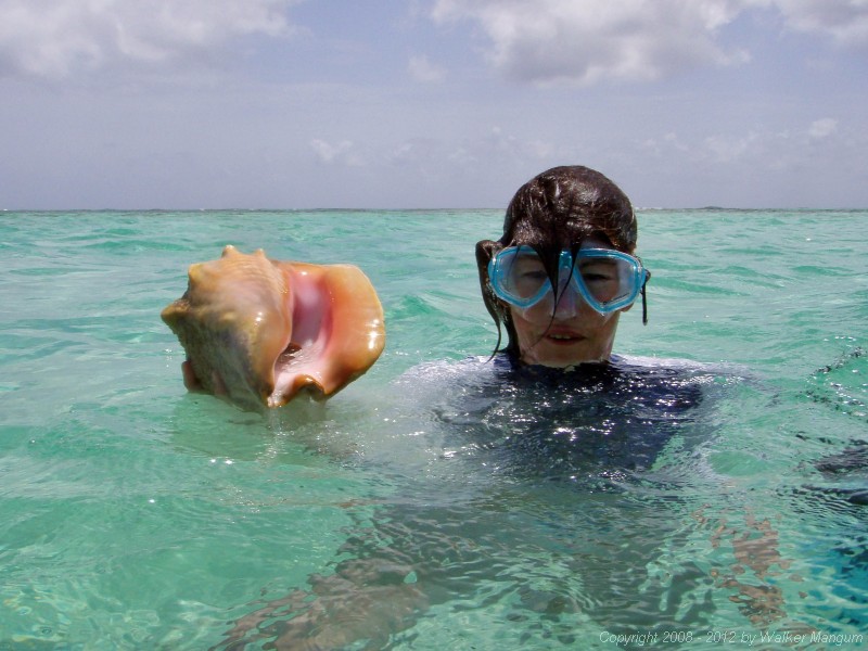 Cele with a conch.