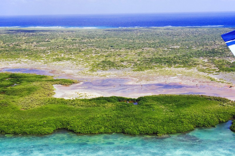 Anegada Aerial Photo
Mangroves.