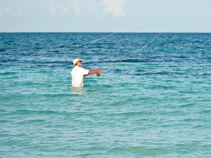 Fly fishing in the sea