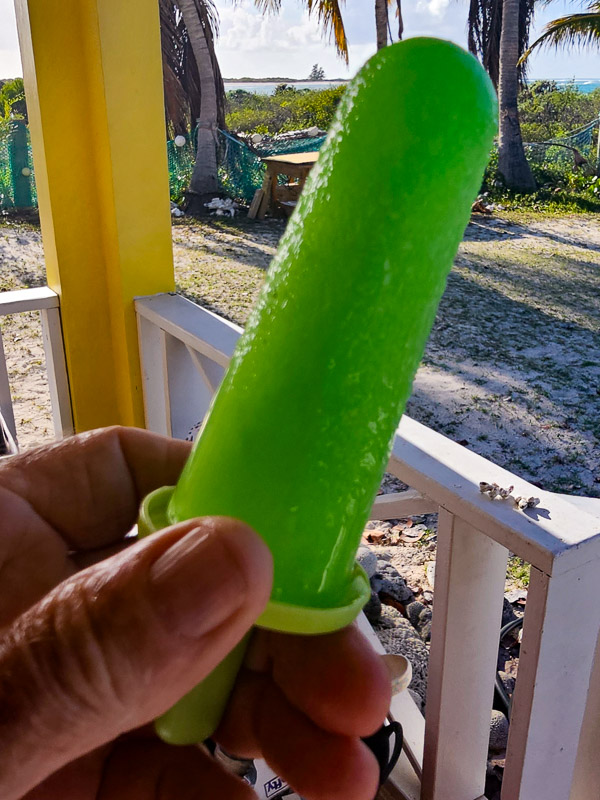 Maragrita Popsicle