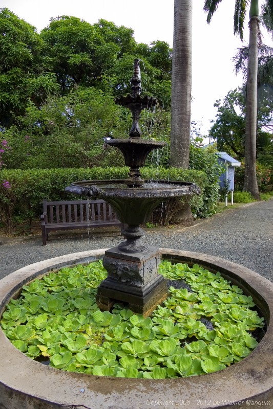 J. R. O'Neal Botanical Garden