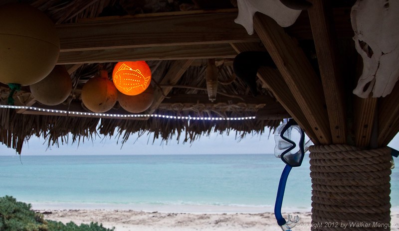 A little bit of island art. Fishing float from the beach becomes palapa light.